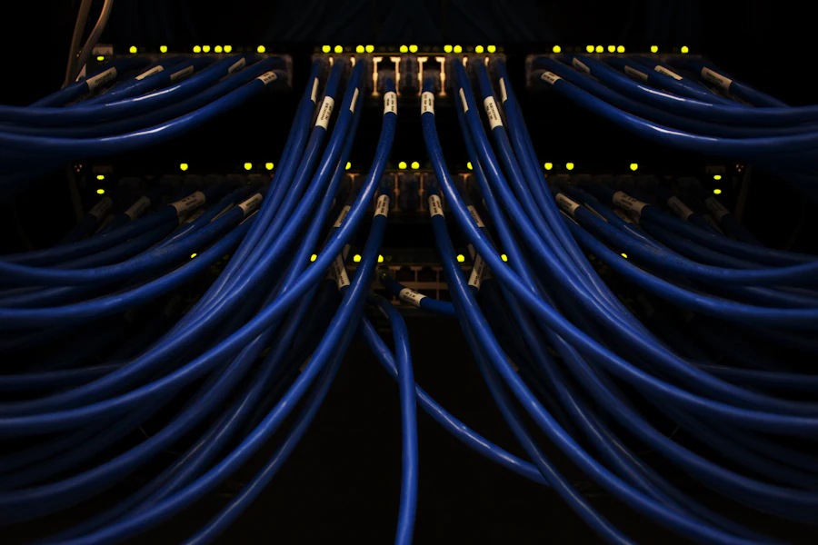 Blue network cables connected to a switch